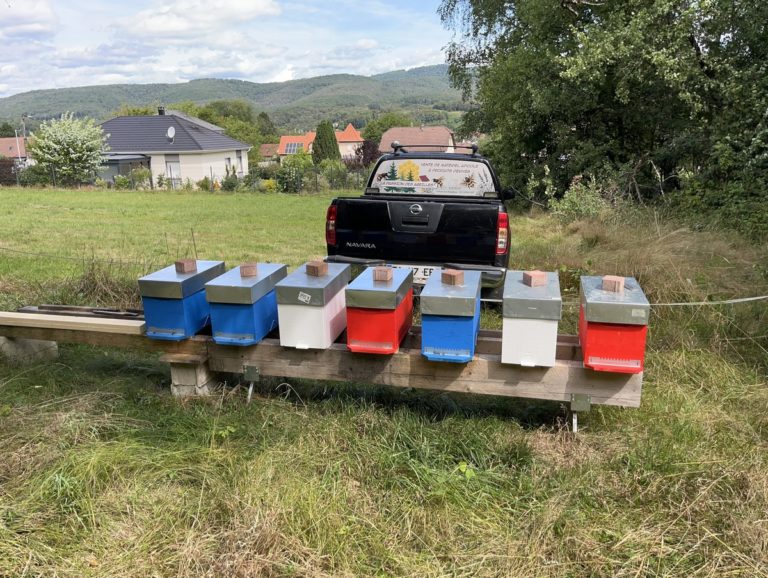 Photo de galerie des produits vendu par la passion des abeilles